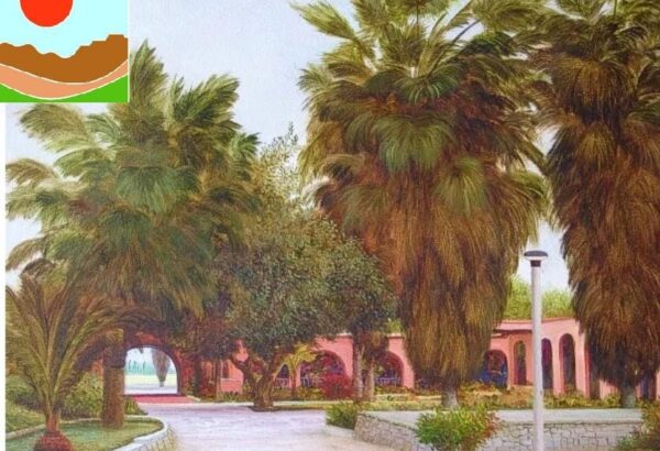 WhatsApp Image 2021-08-30 at 13.11.59