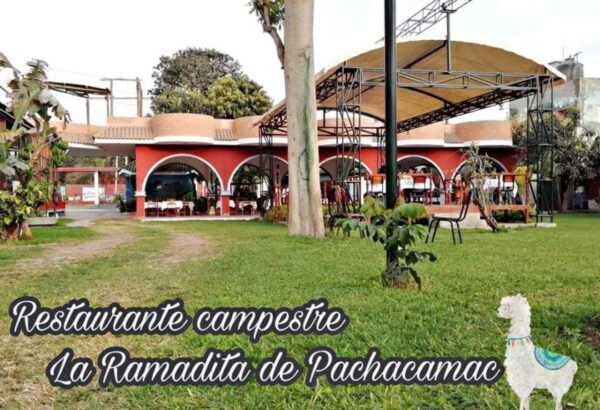 WhatsApp Image 2021-08-31 at 21.05.39